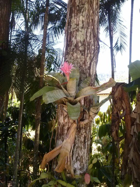 帕拉蒂Chale Rio Dos Meros别墅 外观 照片